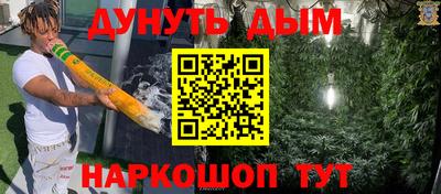 гашик Берёзовский
