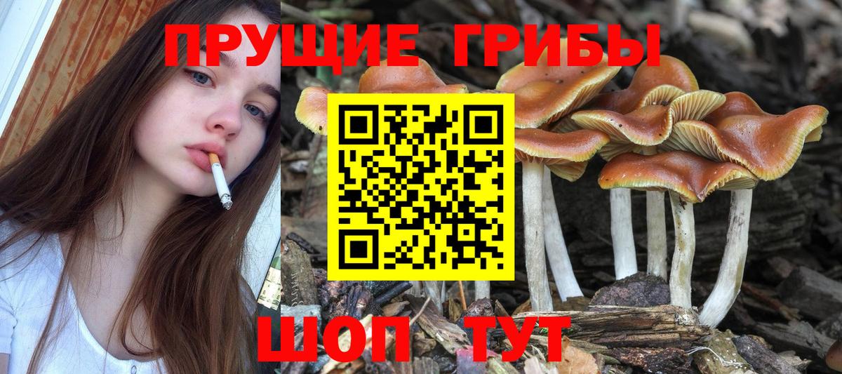 A PVP Керчь